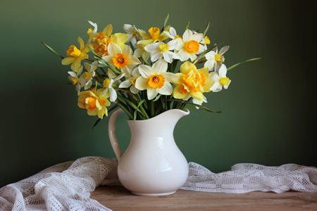 Daffodil