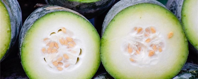 Winter melon farming methods and precautions