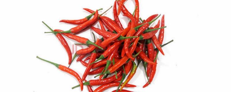 Cultivation methods and precautions of Chaotian pepper
