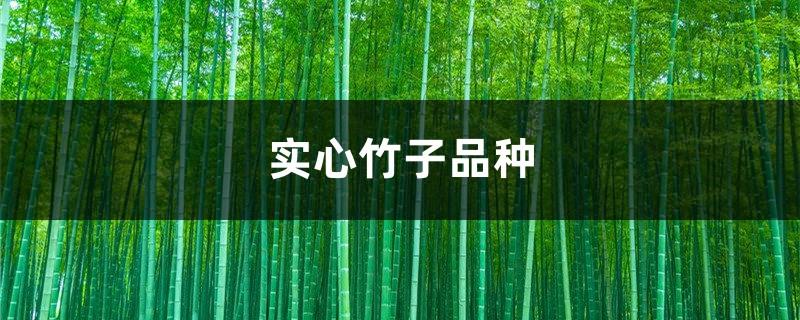 What are the varieties of solid bamboo