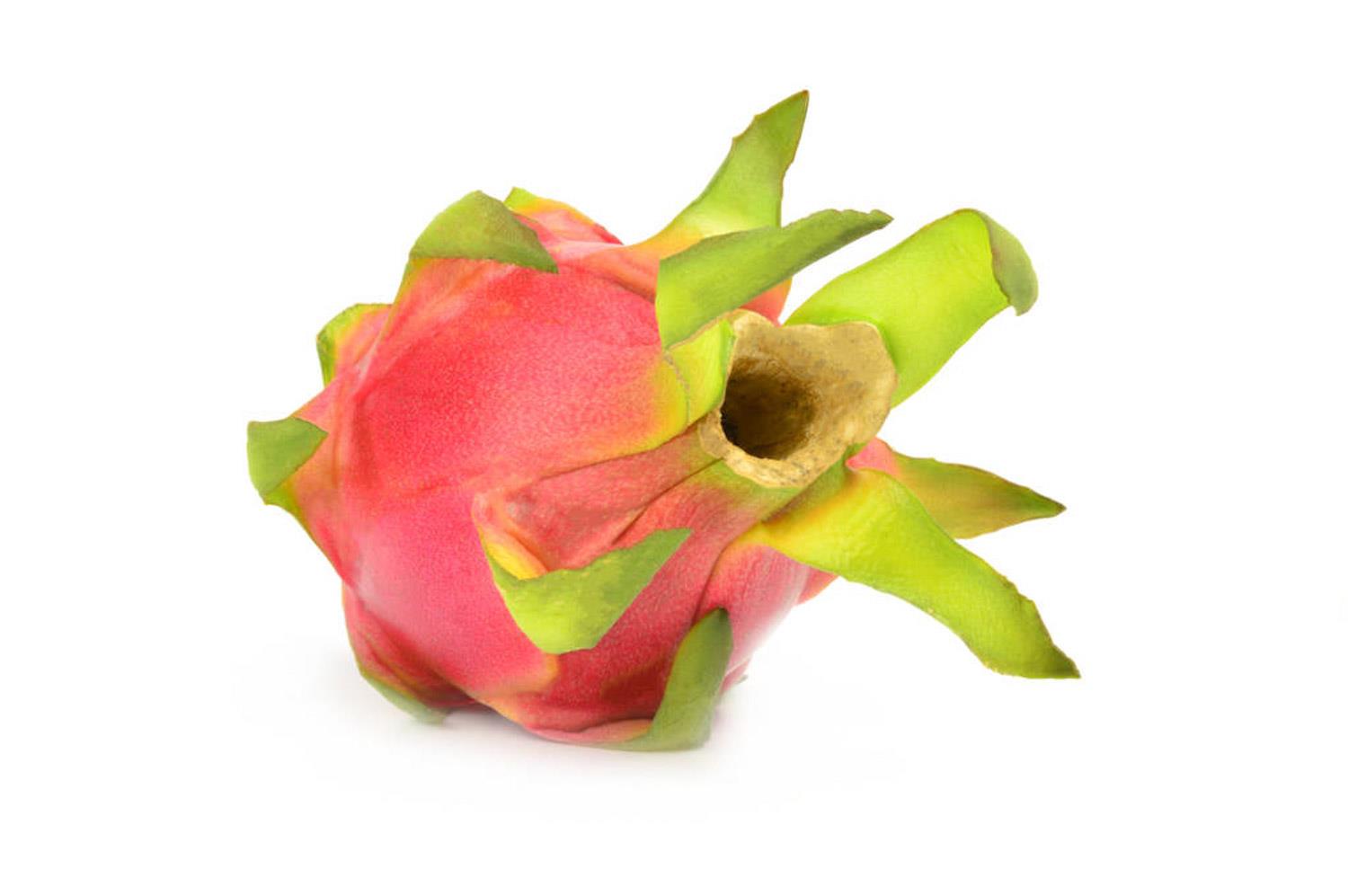 Dragon Fruit