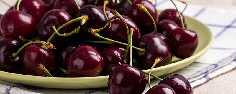 Where are cherries suitable for planting?