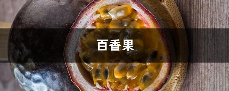 How long does passion fruit pickled honey last and how to store it best