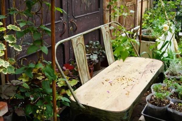 She turned the rented house into a big garden. No matter how tiring her life is, she still has to please herself!