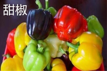 bell pepper color