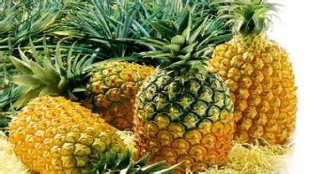 The difference between pineapple and pineapple