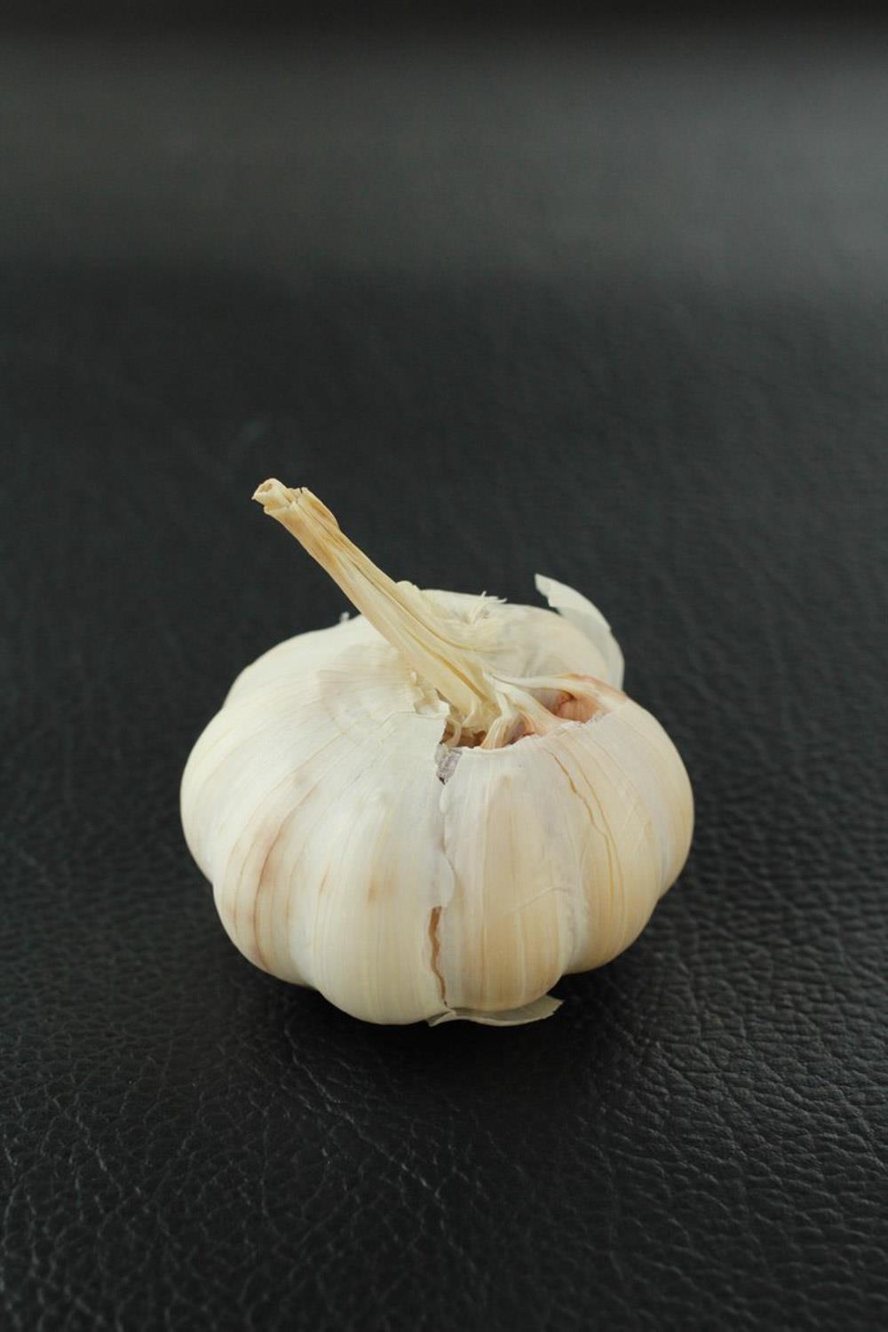 Garlic