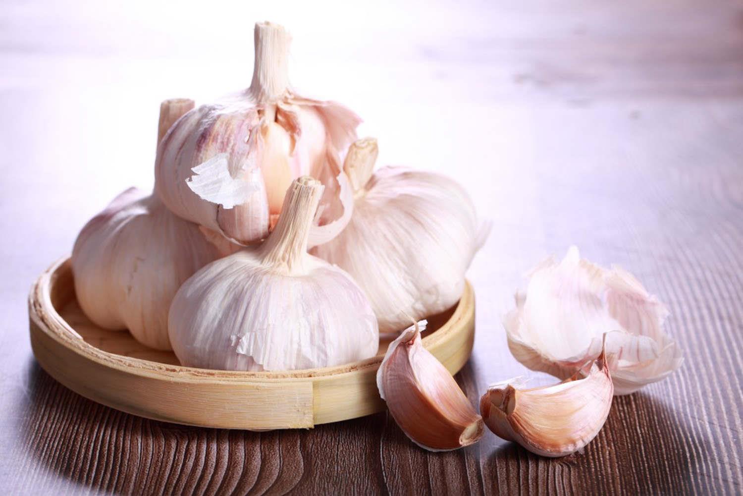 Garlic