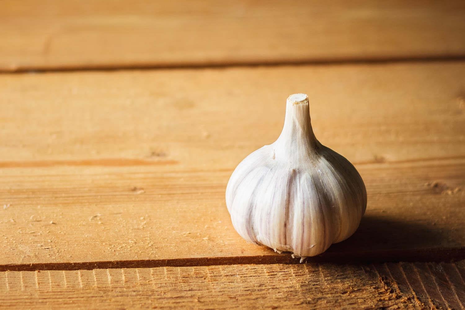 Garlic