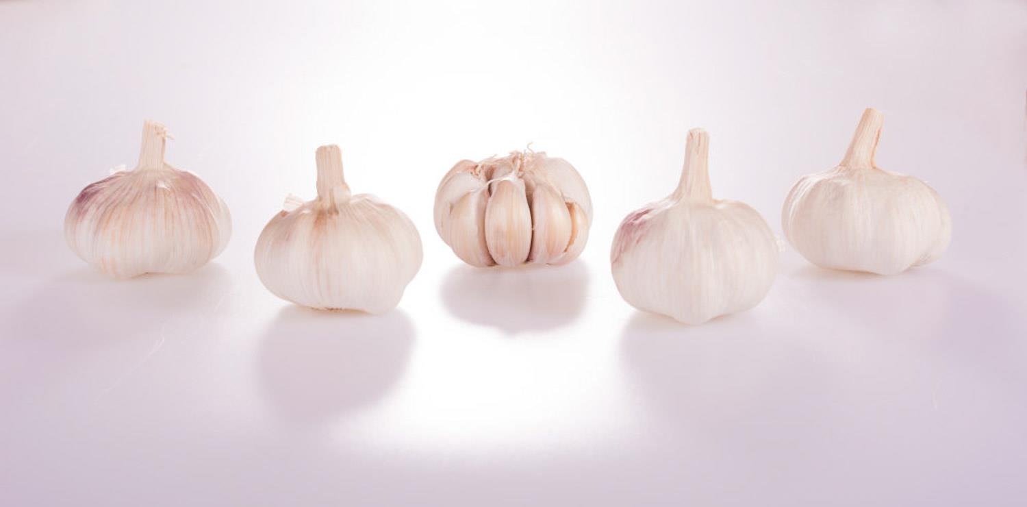 Garlic