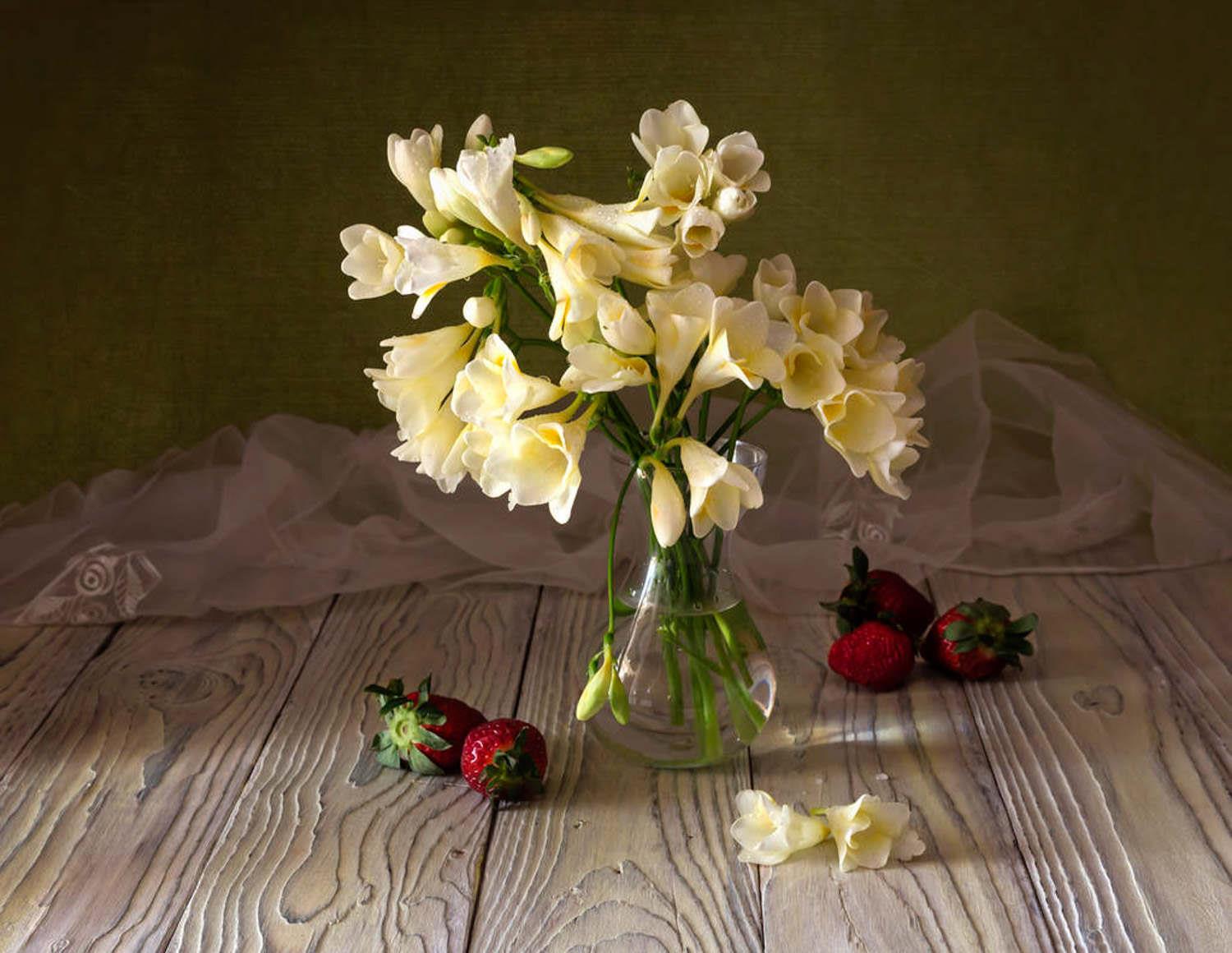 Fresh-cut flowers