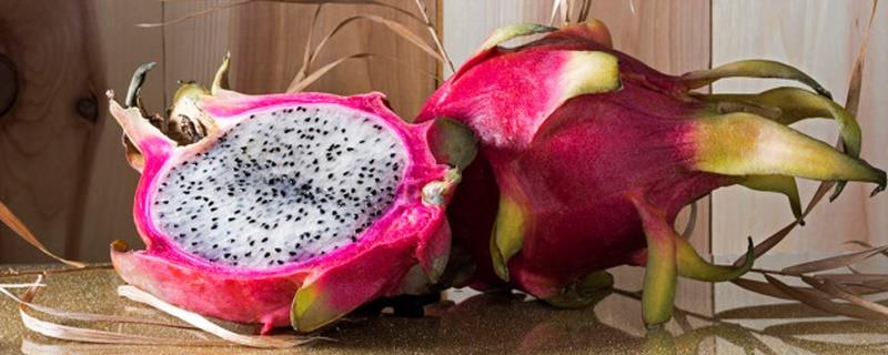 What season is dragon fruit?