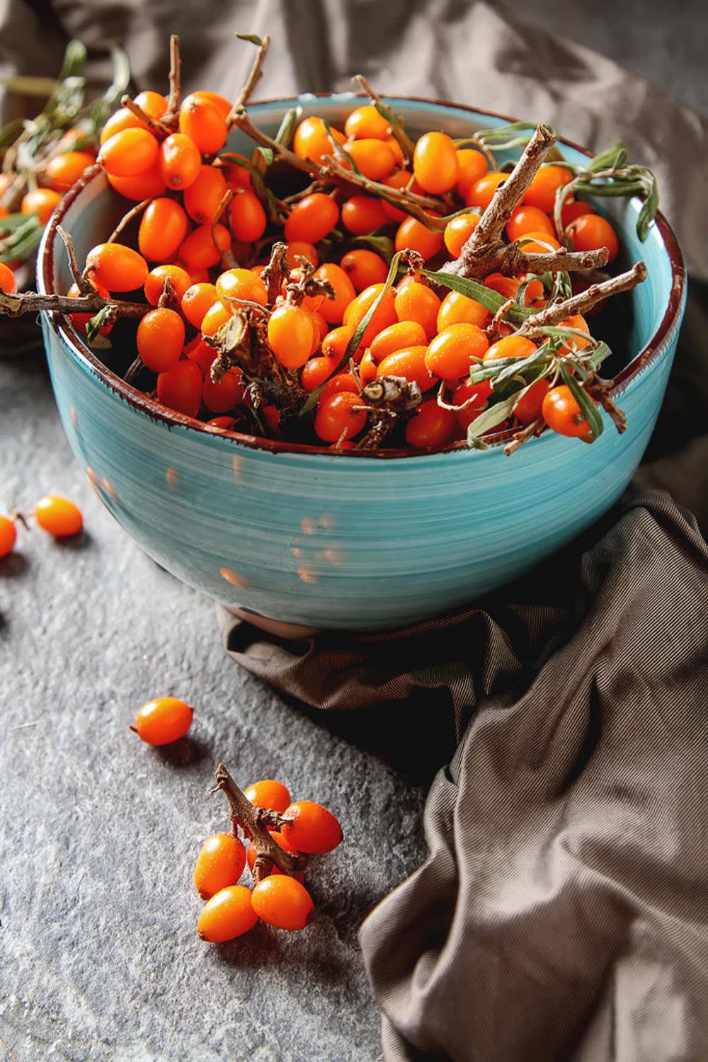 Sea buckthorn