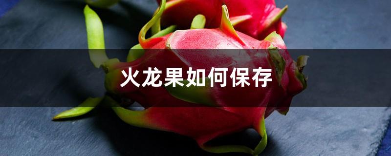 How to save dragon fruit, storage precautions