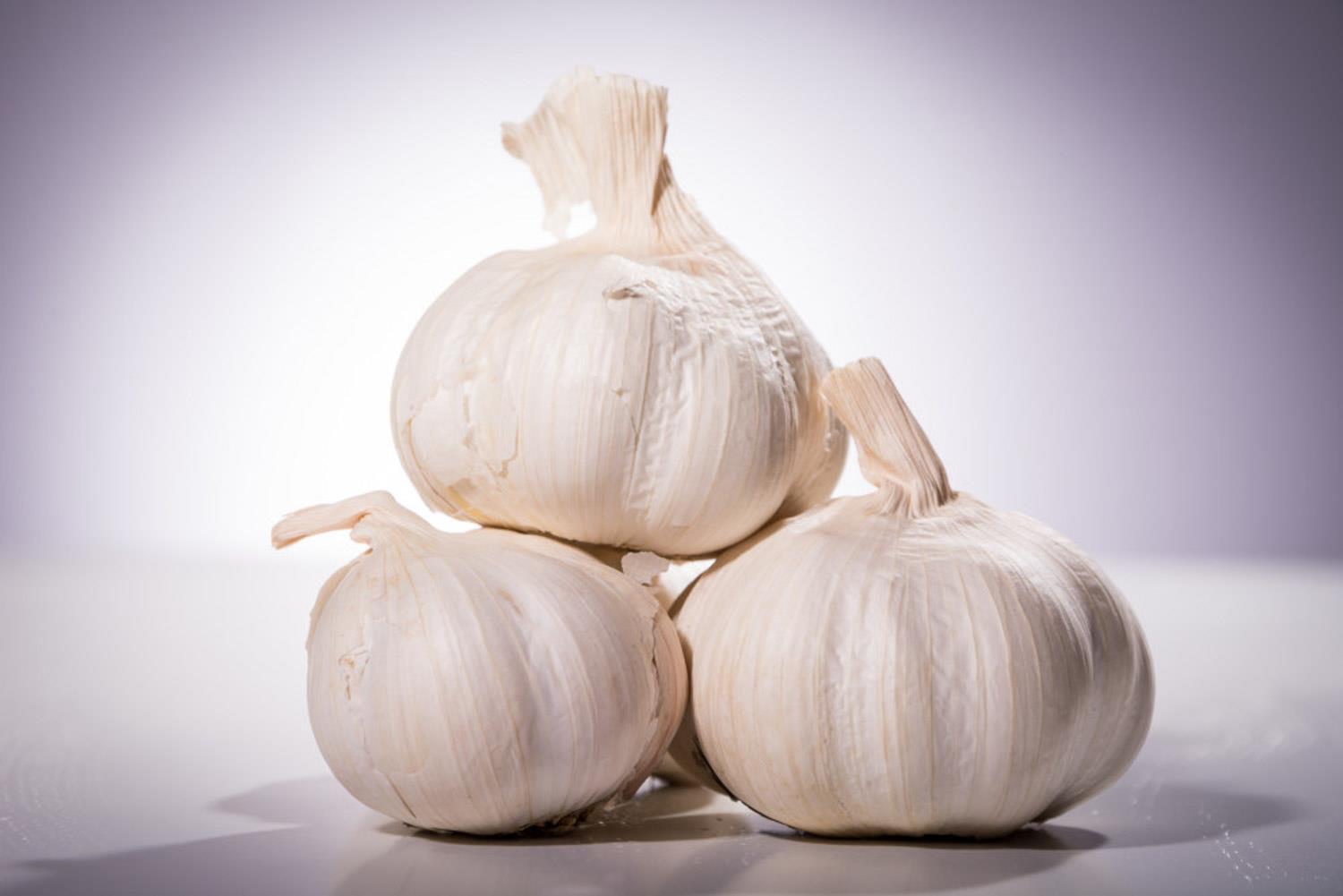 Garlic