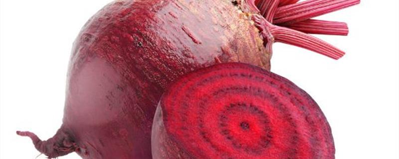 How to grow beets