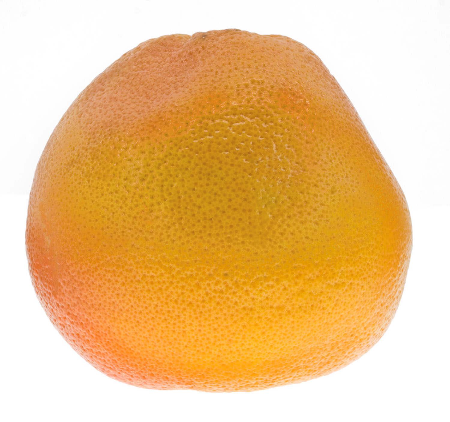 Grapefruit