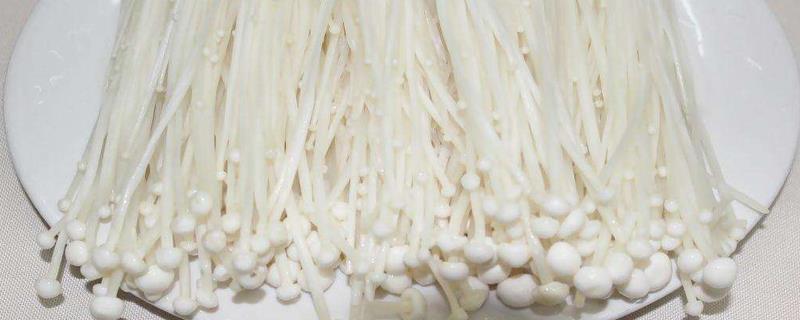 How to grow Enoki mushrooms