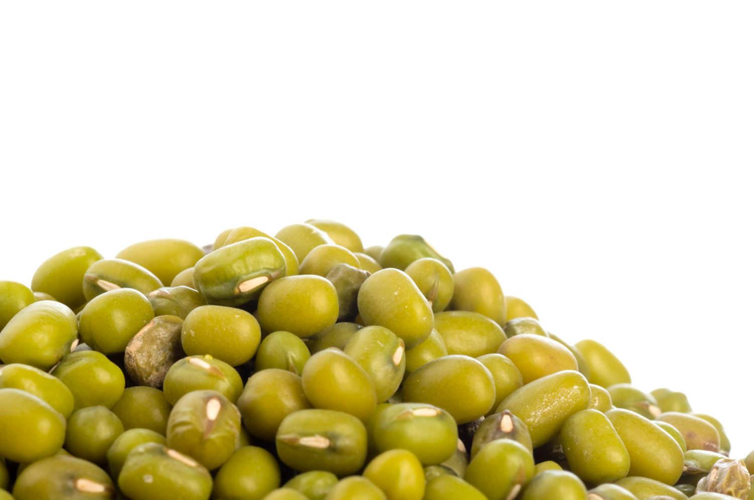 Mung Bean