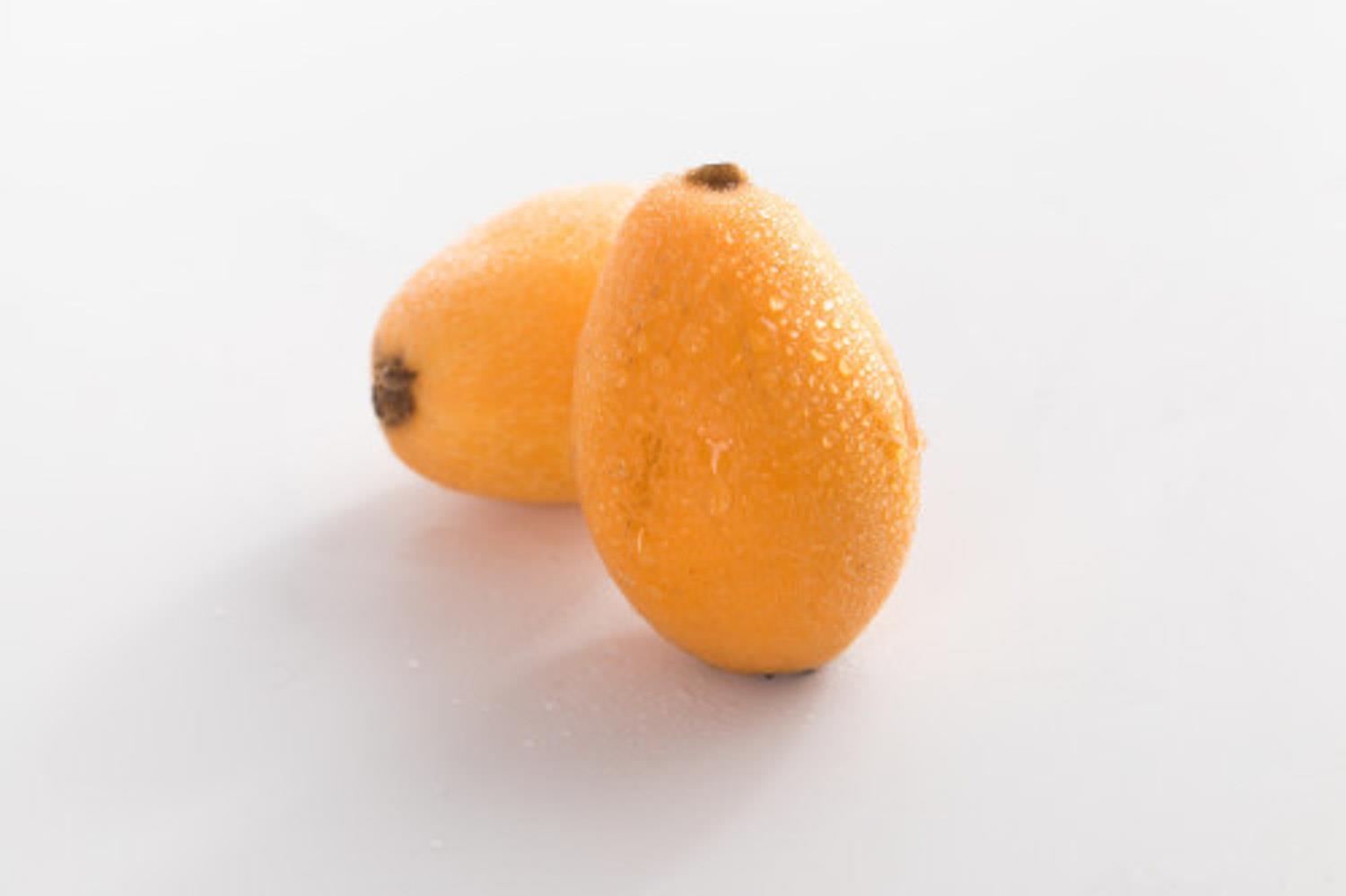 Loquat