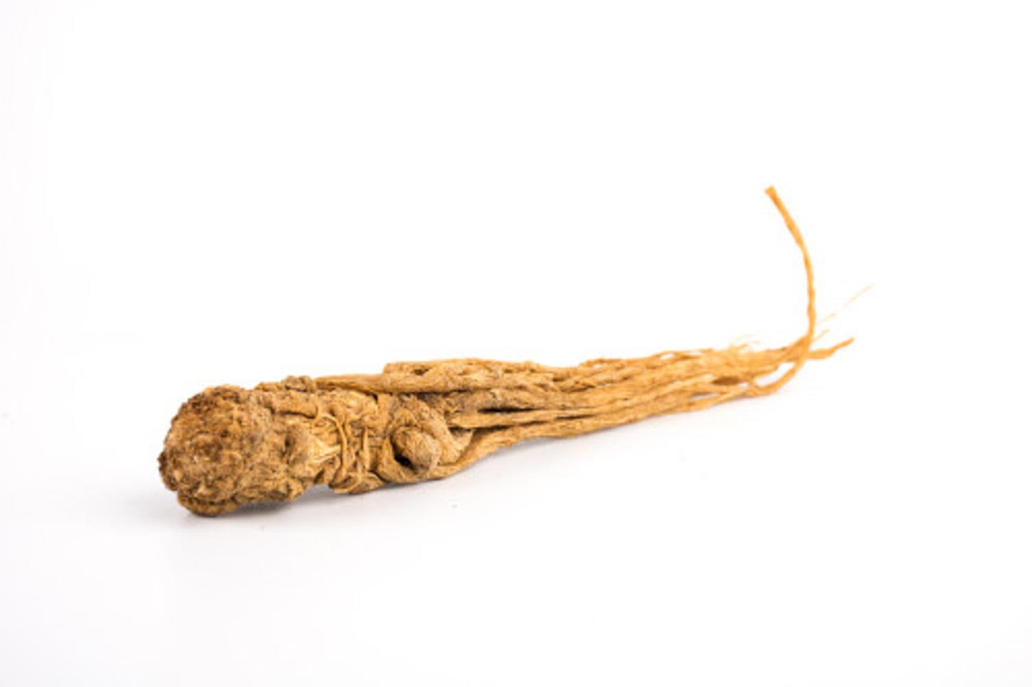 Ginseng