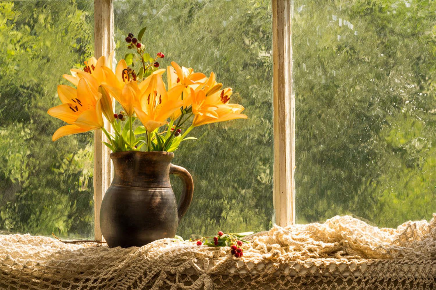 Fresh-cut flowers