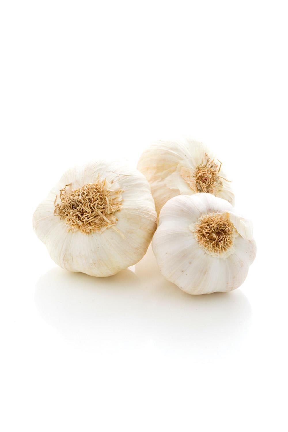 Garlic