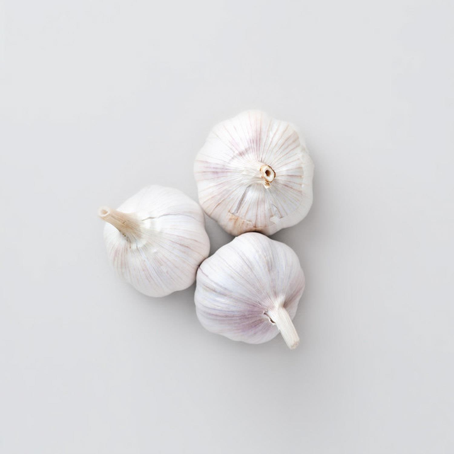 Garlic