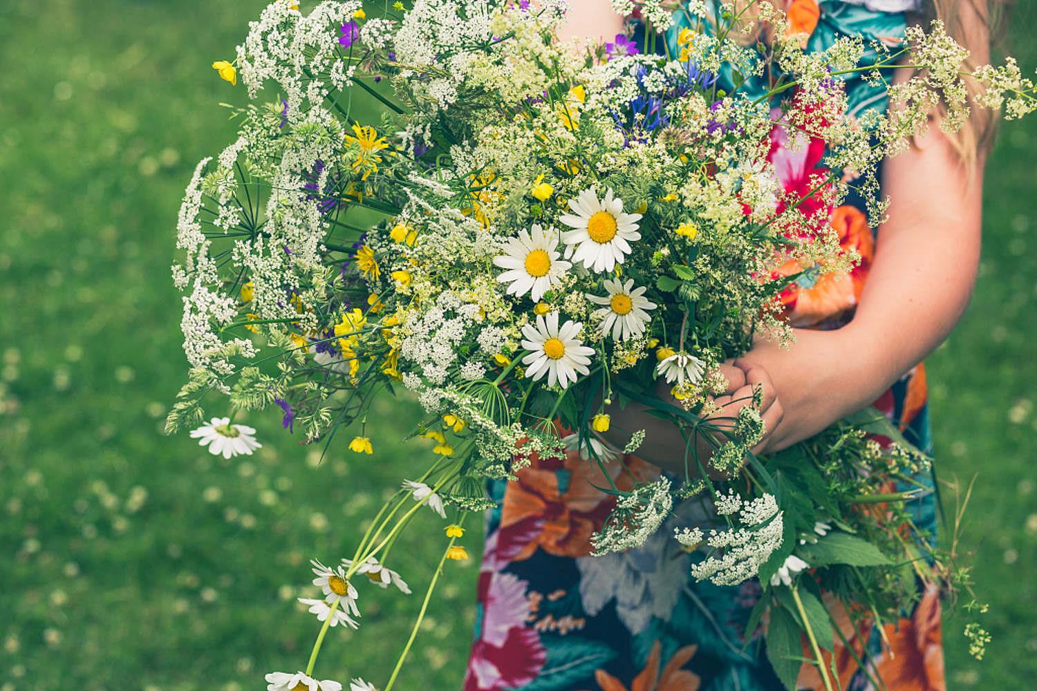 Fresh-cut flowers