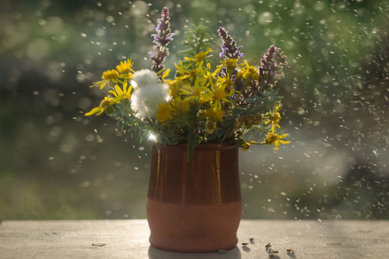 Fresh-cut flowers