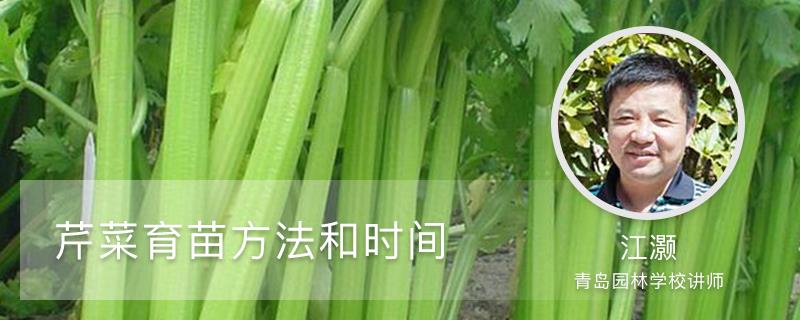 Celery seedling cultivation method and time