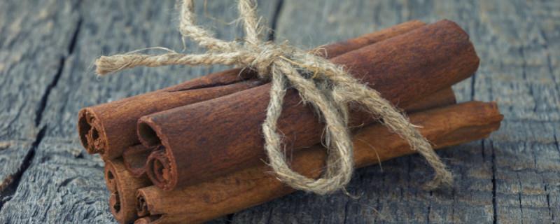 What is cinnamon, the difference between cassia bark and cinnamon
