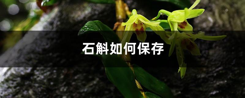 How to preserve Dendrobium? Does dried Dendrobium have a shelf life?