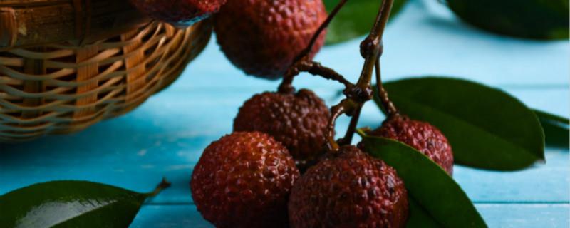 How many kilograms can a lychee tree produce