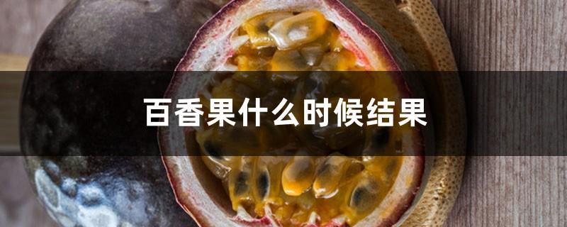 When does passion fruit bear fruit and when does it mature