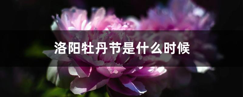 When is the Luoyang Peony Festival