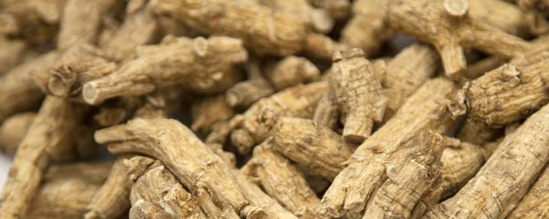 The difference between white ginseng and American ginseng