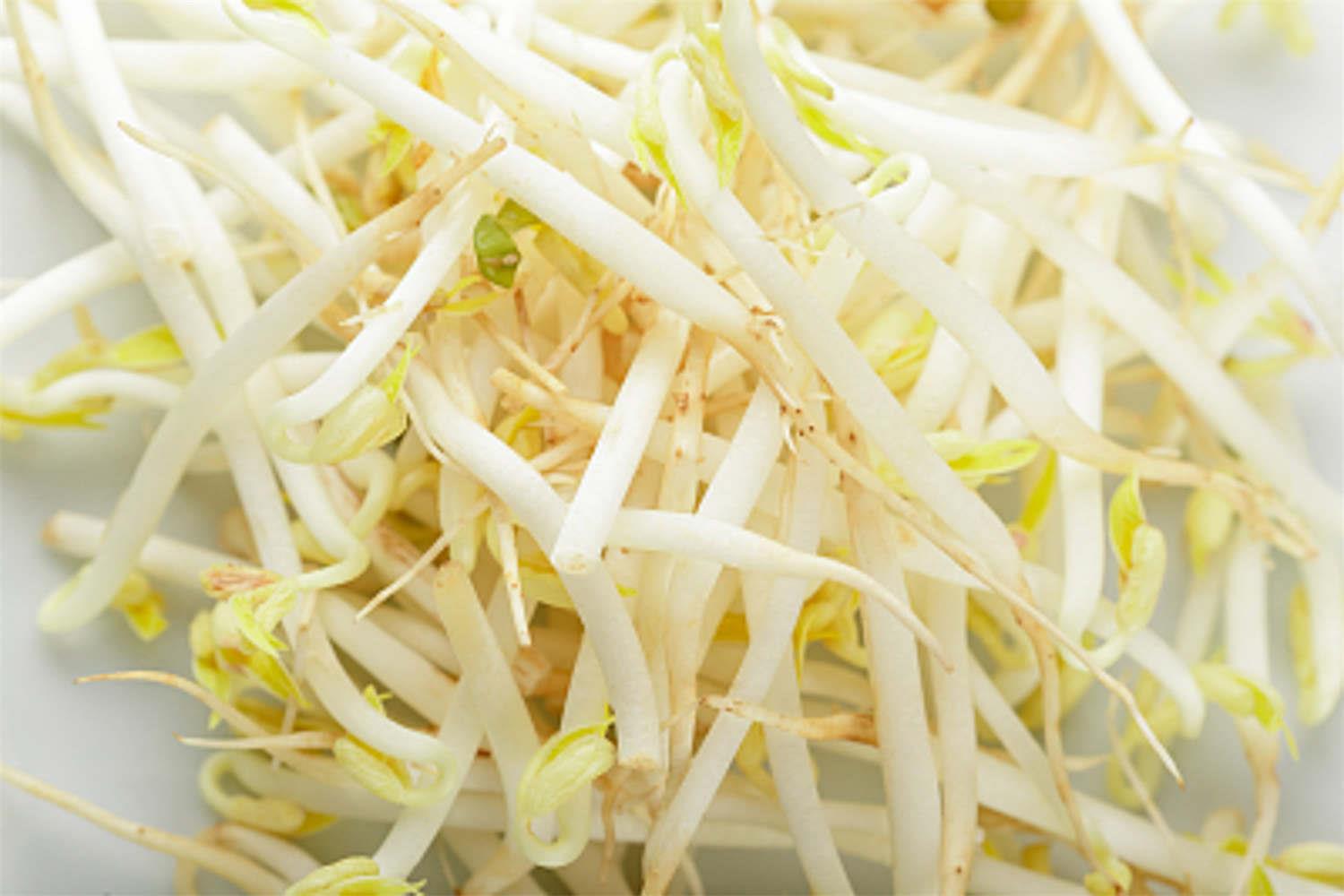 Bean sprouts