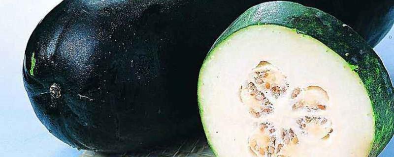 Black-skinned winter melon price