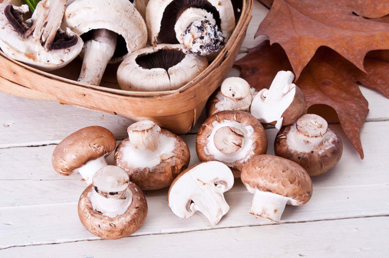 Shiitake mushrooms