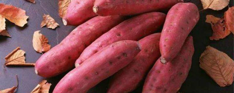 Will eating sweet potatoes make you fat? Will eating sweet potatoes often make you fat?