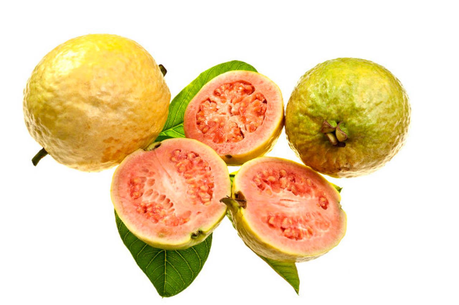 Guava