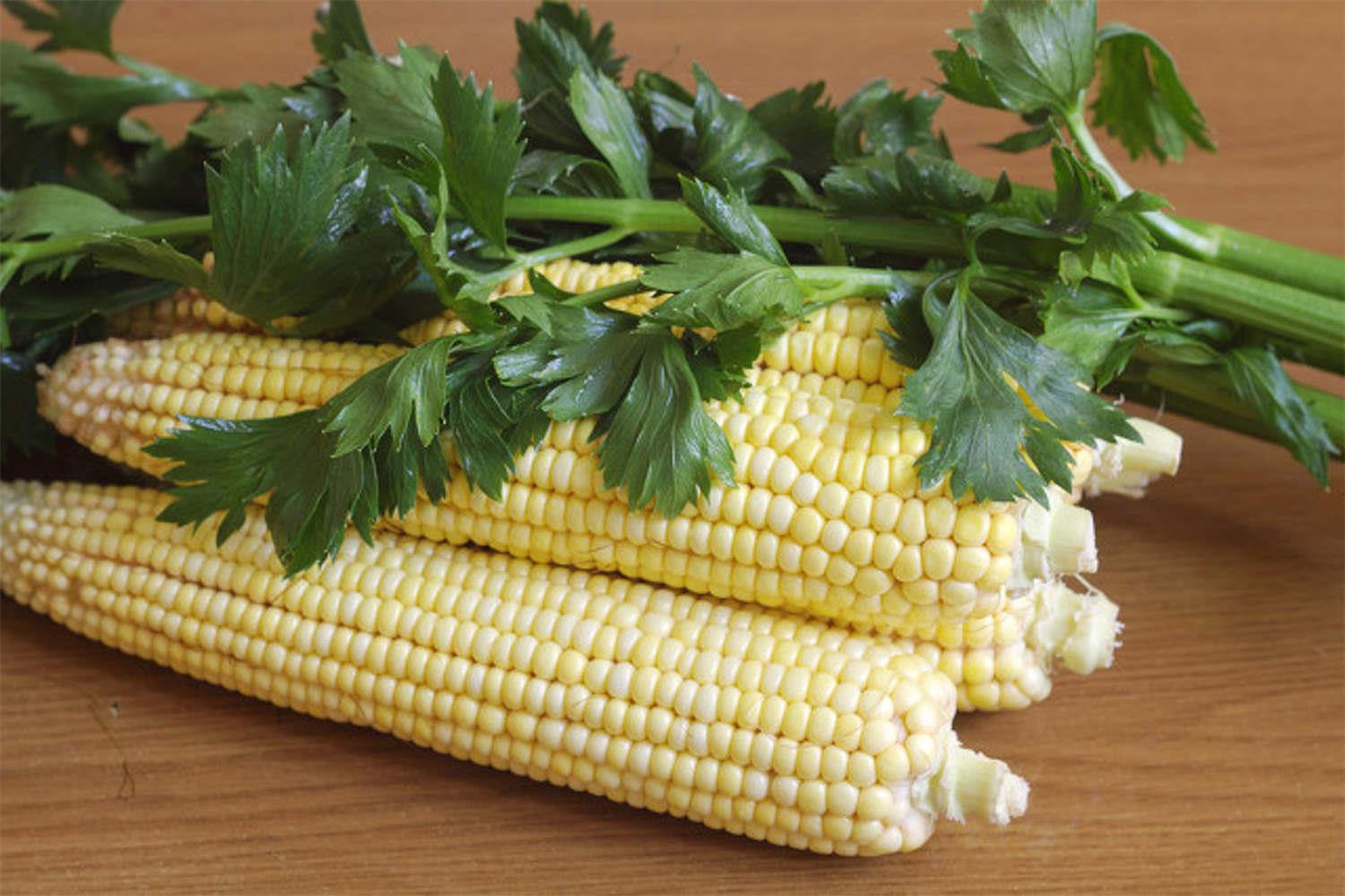 Corn