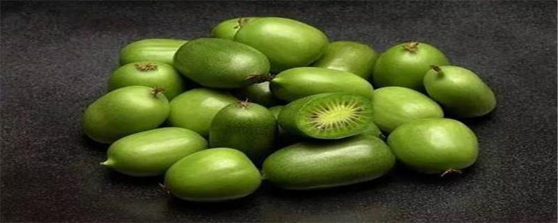 The difference between kiwi fruit and kiwi fruit, are they wild?