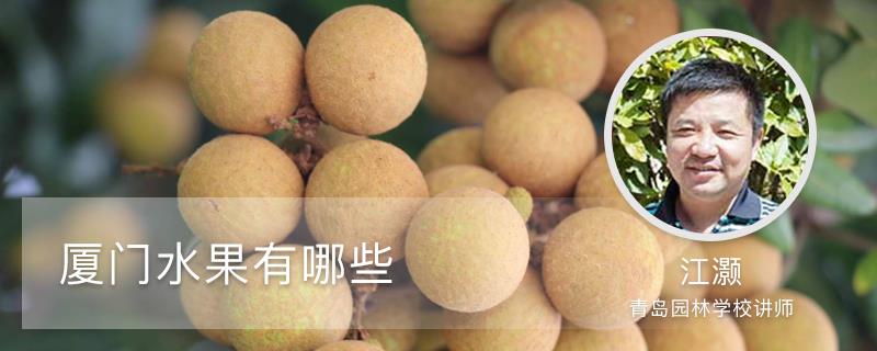 What are the fruits in Xiamen