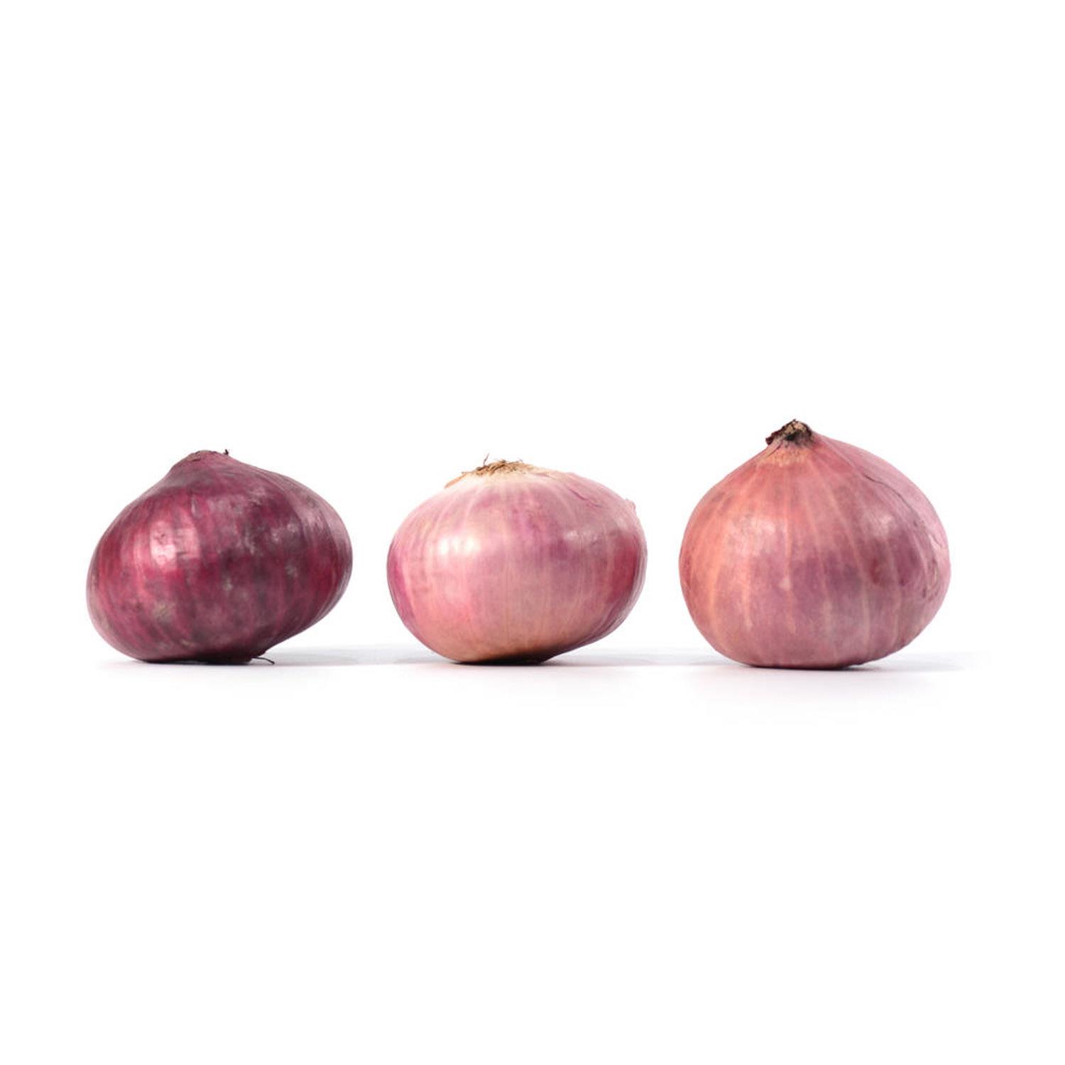 Onion