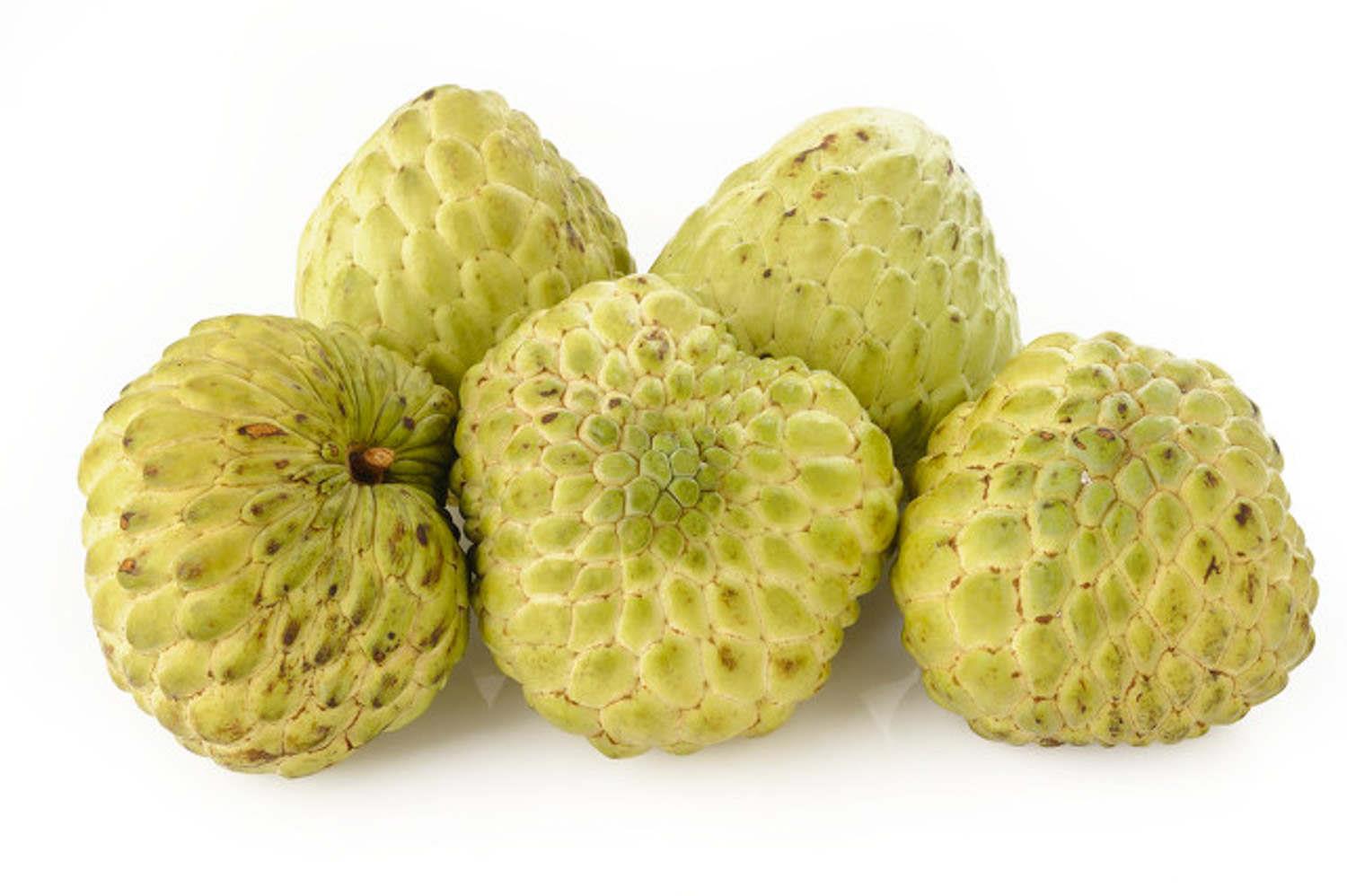 Custard Apple