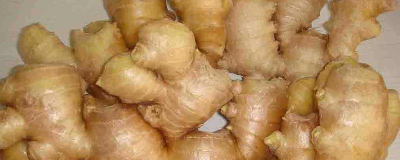 How much does turmeric cost per pound