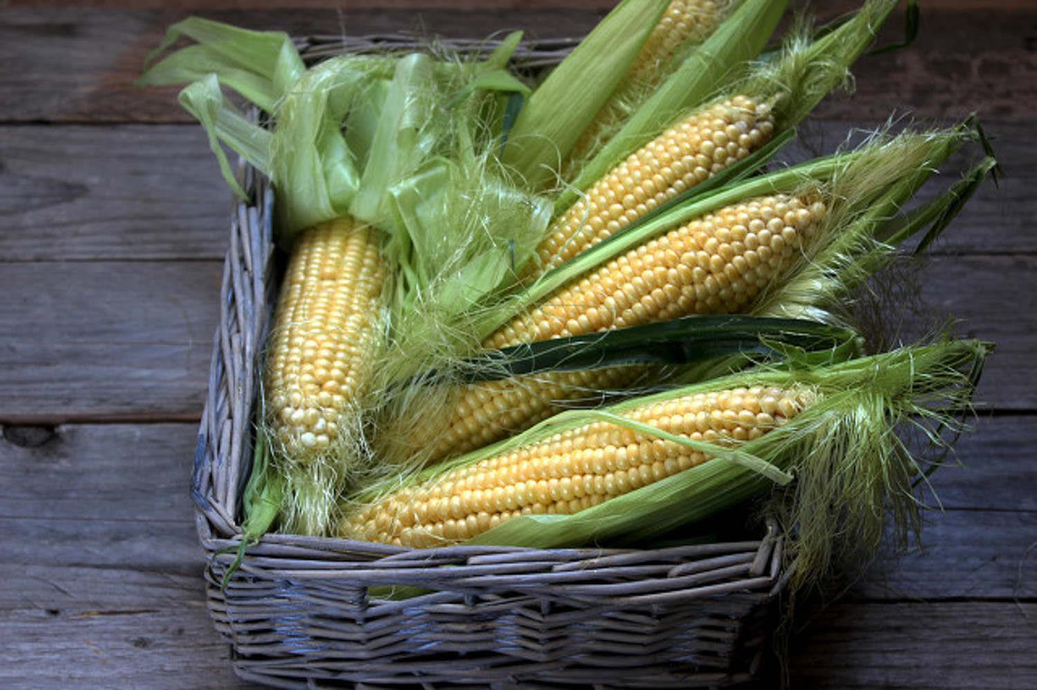 Corn