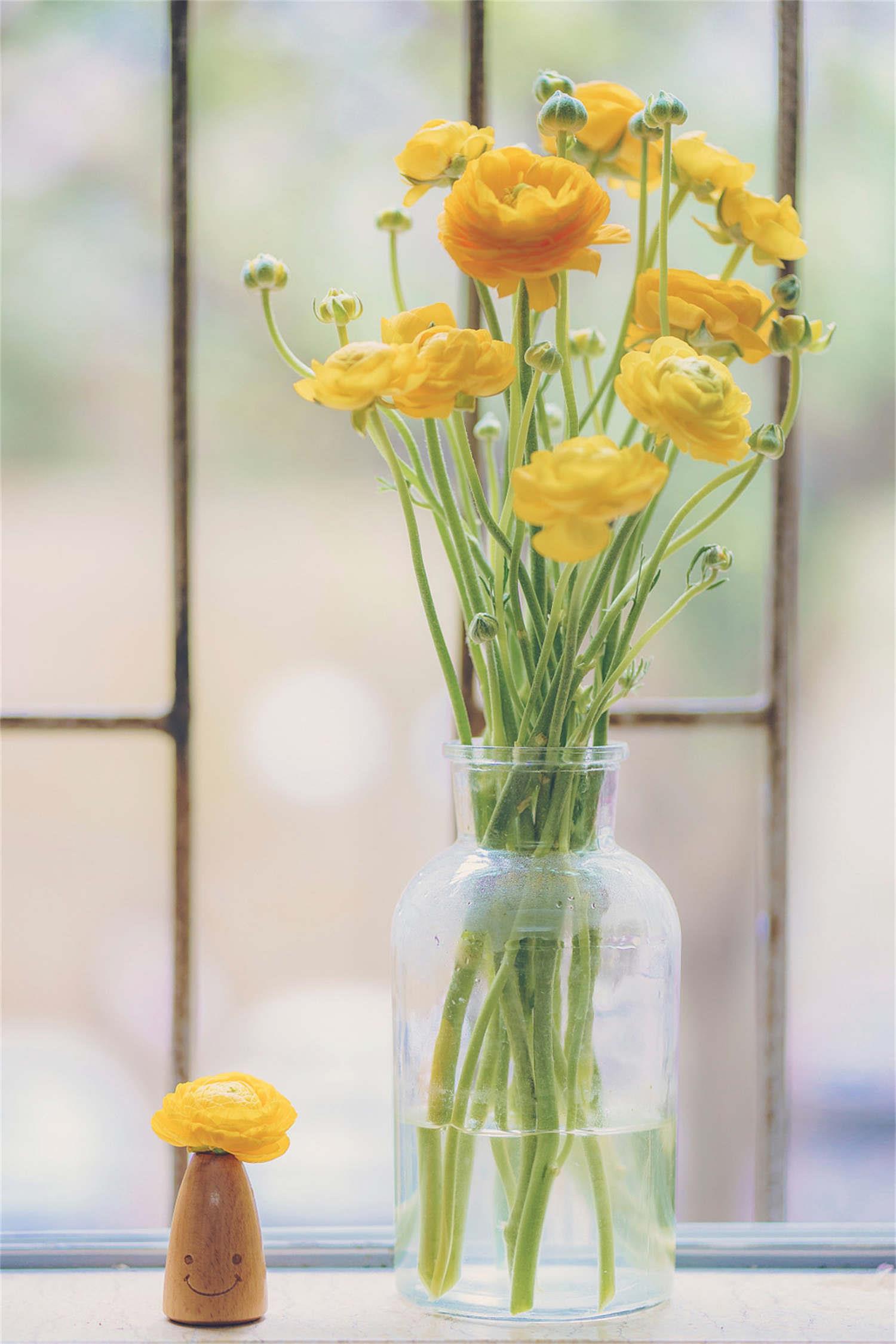 Ranunculus